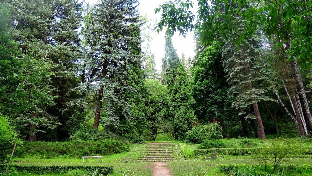 Forest path in Stepanavan Dendropark (Sochut)